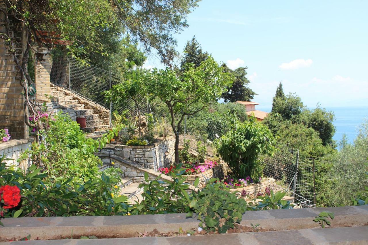 Aris Studio Corfu Pyrgi (Corfu) Exterior foto